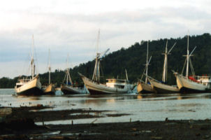 Cargo Phinisi at Batulicin, Kalimantan, Indonesia